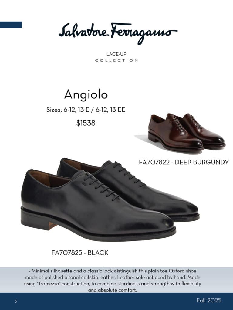 alvatore ferragamo mens shoes belts and bags